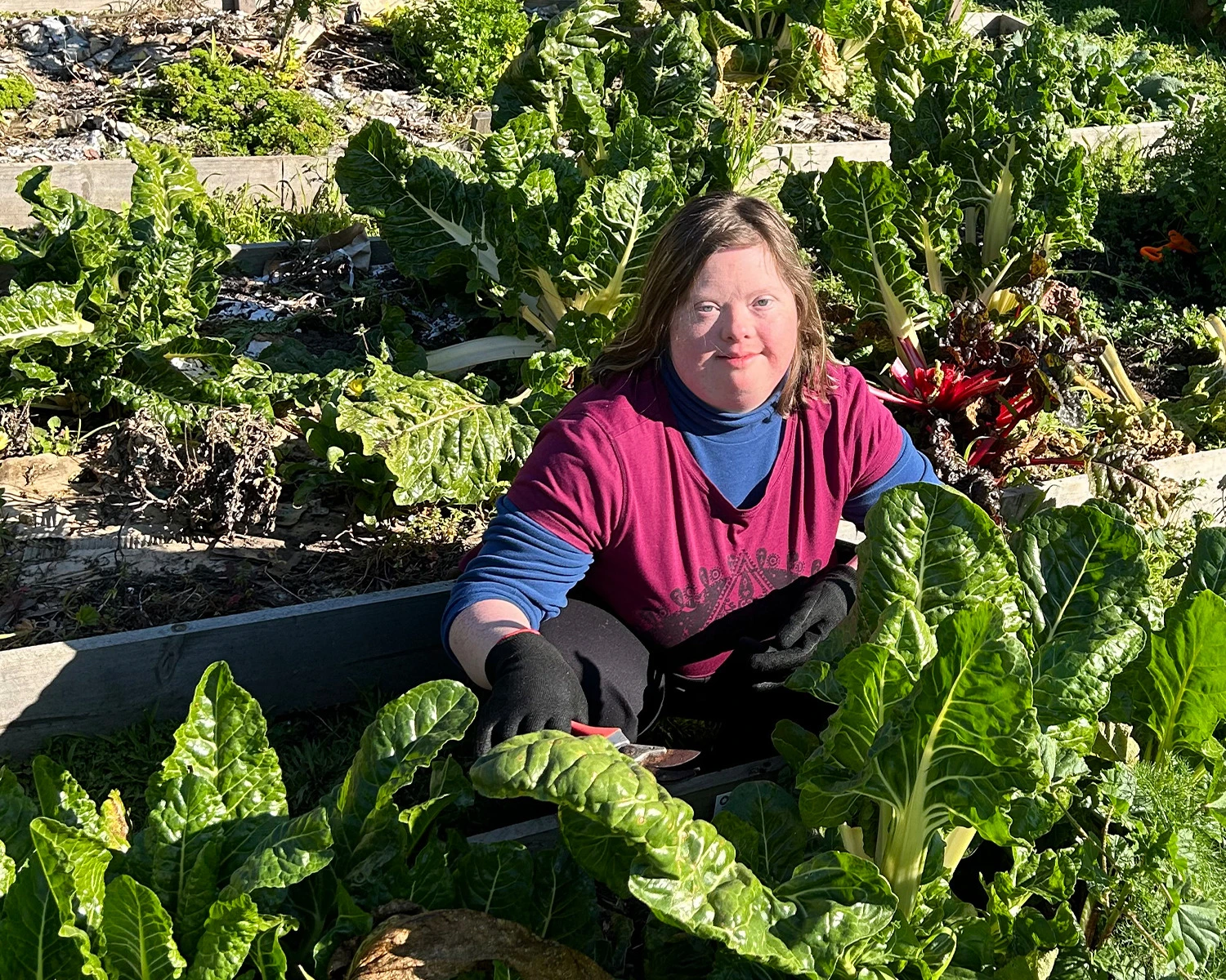 a woman crouches next to a vegetable garden at Gardening atDistinctive Options Noweyung