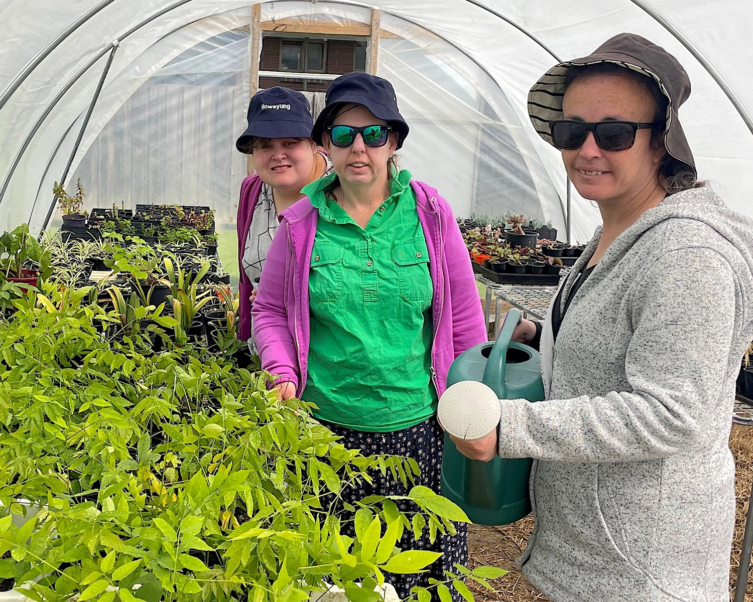 A Group stand inside a greenhouse at Gardening and Horticulture at Distinctive Options Noweyung